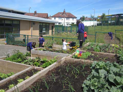 Boundary School, Blackpool, environment project